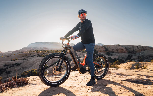 HEYBIKE HERO