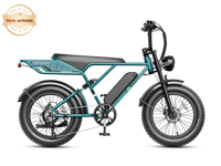 Jasion RetroVolt Pro Ebike