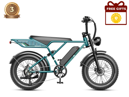 Jasion RetroVolt Pro Ebike