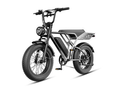 Jasion RetroVolt Pro Ebike