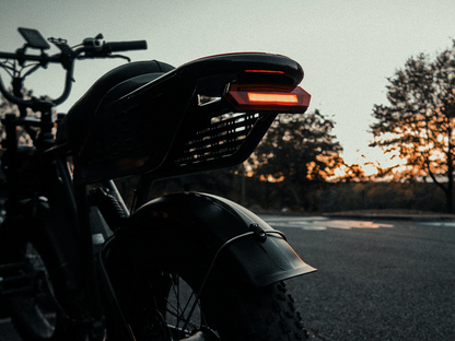 Jasion RetroVolt Pro Ebike