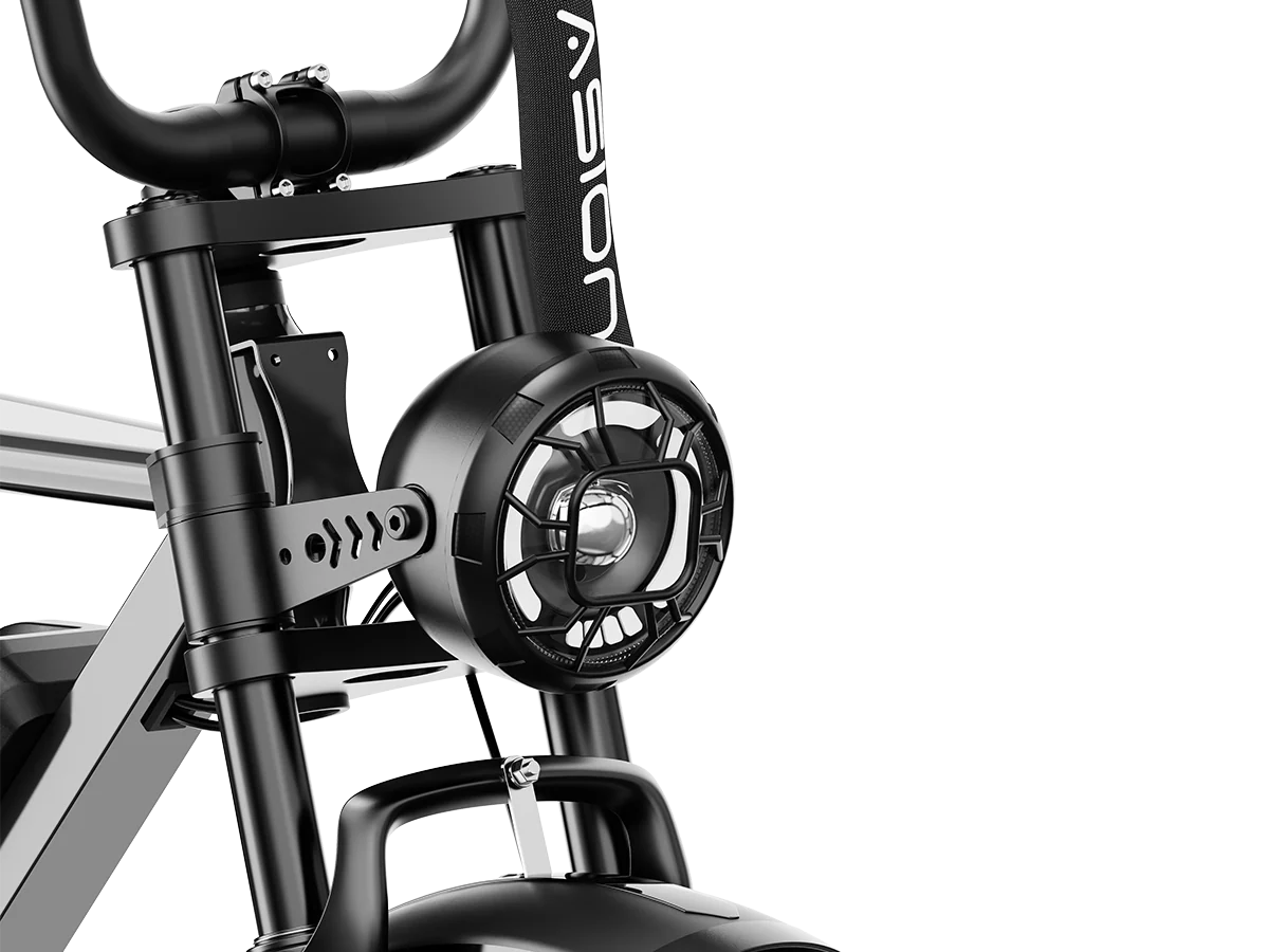 Jasion RetroVolt Pro Ebike
