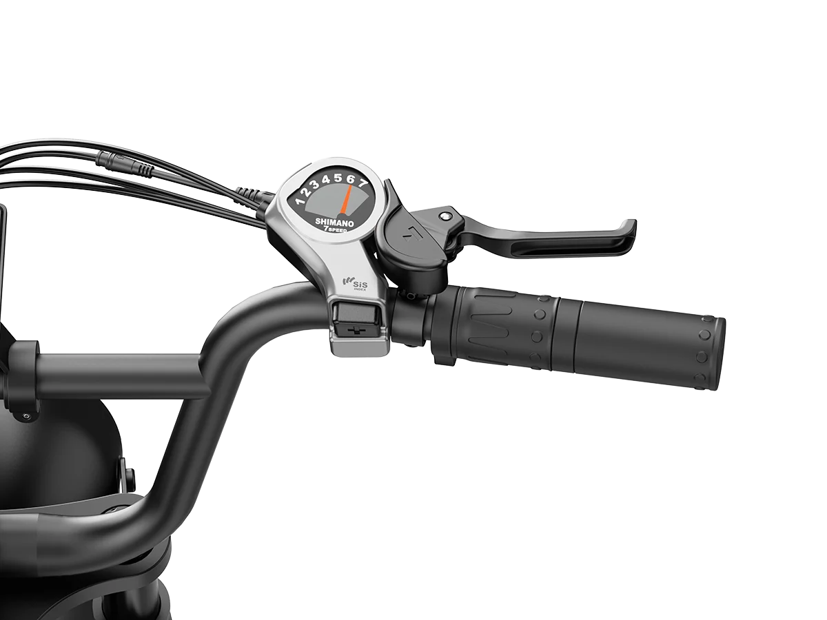 Jasion RetroVolt Pro Ebike