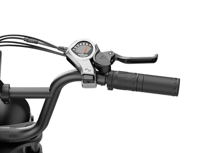 Jasion RetroVolt Pro Ebike
