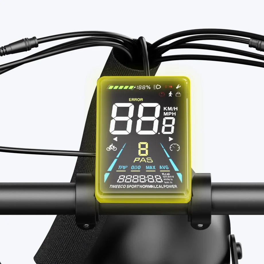 Multifunctional Color Display