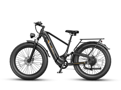 Jasion Thunder Pro Ebike