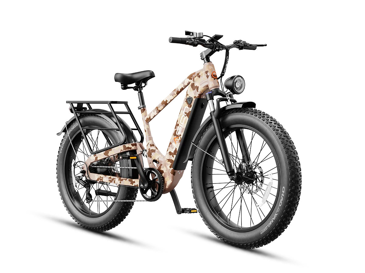 Jasion Thunder Pro Ebike