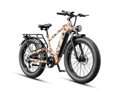 Jasion Thunder Pro Ebike