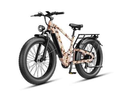 Jasion Thunder Pro Ebike