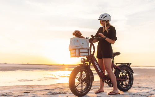 HEYBIKE Ranger S