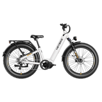 HEYBIKE Alpha