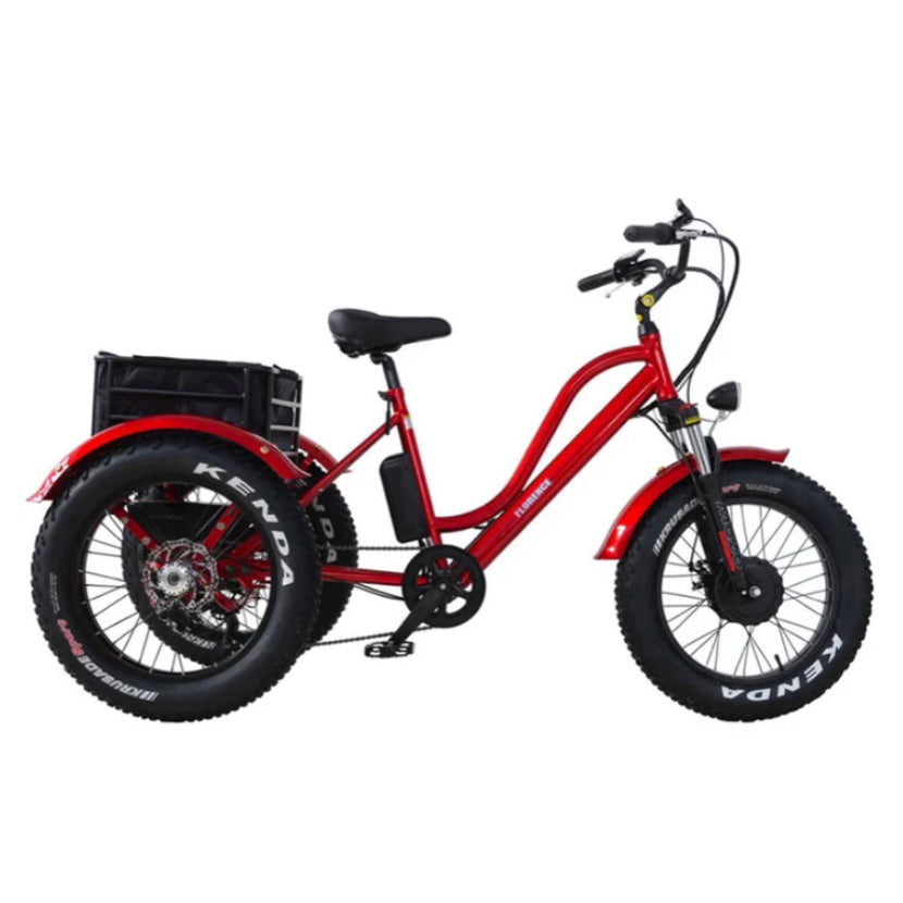 Roue EZWheel T1