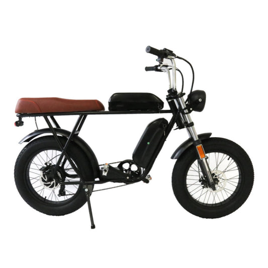 EZWheel Electric Fat Bike X1 & X2