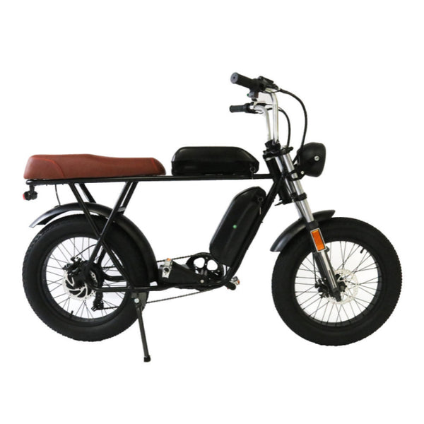EZWheel Electric Fat Bike X1 & X2